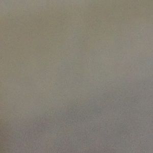 Meet your Posher, Lily